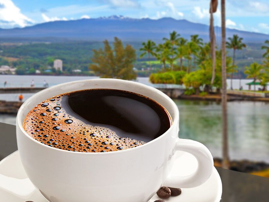 Coffee in Hilo: Why WaiʻOli iCafe Is Your Go-To Morning Stop